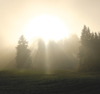 Lebensberatung Geistiges Heilen Spiritualitaet Kinder Jugendpraxis Sarnen