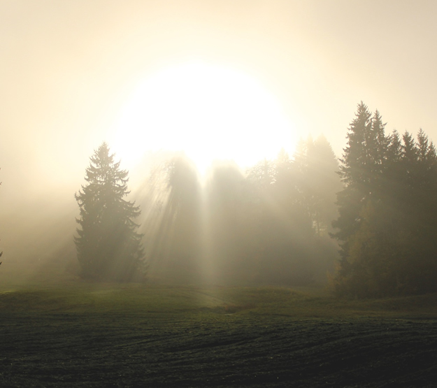 Lebensberatung Geistiges Heilen Spiritualitaet Kinder Jugendpraxis Sarnen