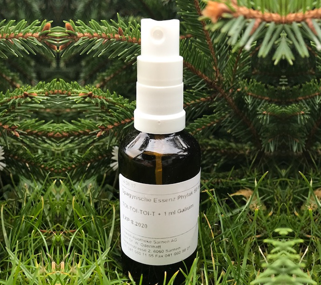 Spagyrik Phylak Dr. Zimpel_Kinder Jugendpraxis Sarnen