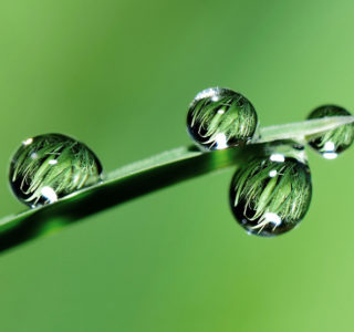 Tierra Sol mit NLP Kinder Jugendpraxis Sarnen