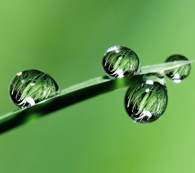 Tierra Sol mit NLP Kinder Jugendpraxis Sarnen